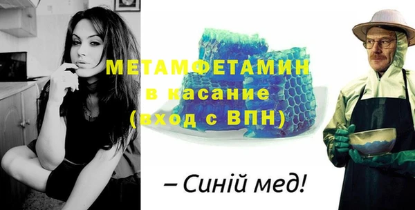 шишки Бородино